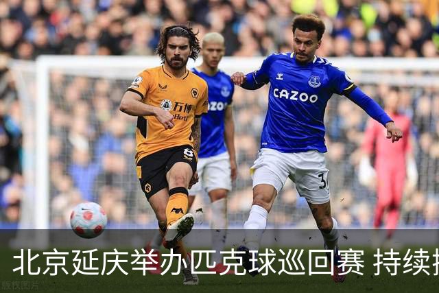 北京延庆举办匹克球巡回赛 持续擦亮户外运动城市名片